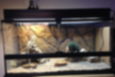 beardie cage idea.jpg